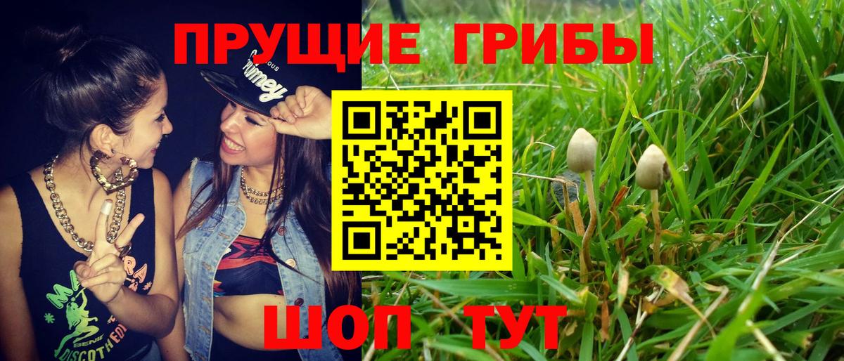 Псилоцибиновые грибы ЛСД Торжок