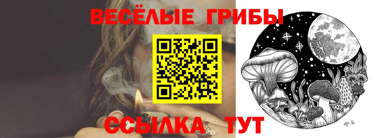 Псилоцибиновые грибы GOLDEN TEACHER  Псилоцибиновые грибы Cubensis  Вход с VPN  Торжок 